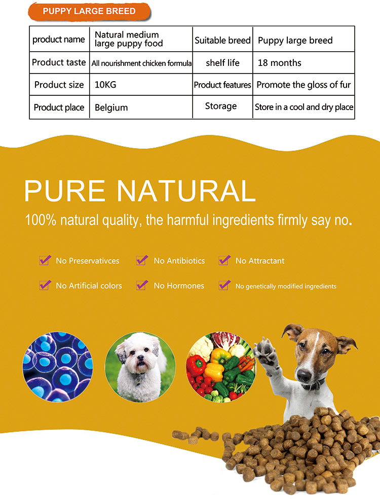 Pet Food Pantry Near Me: Find Your Local Source for Affordable and Nutritious Pet Supplies